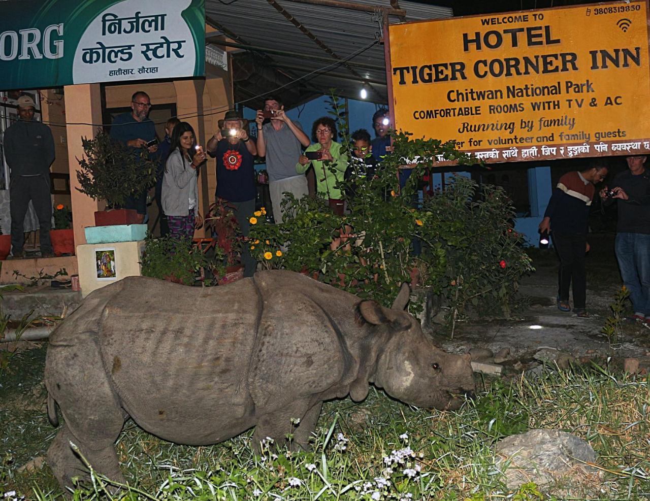 Tiger Corner Inn Homestay Sauraha Exteriér fotografie