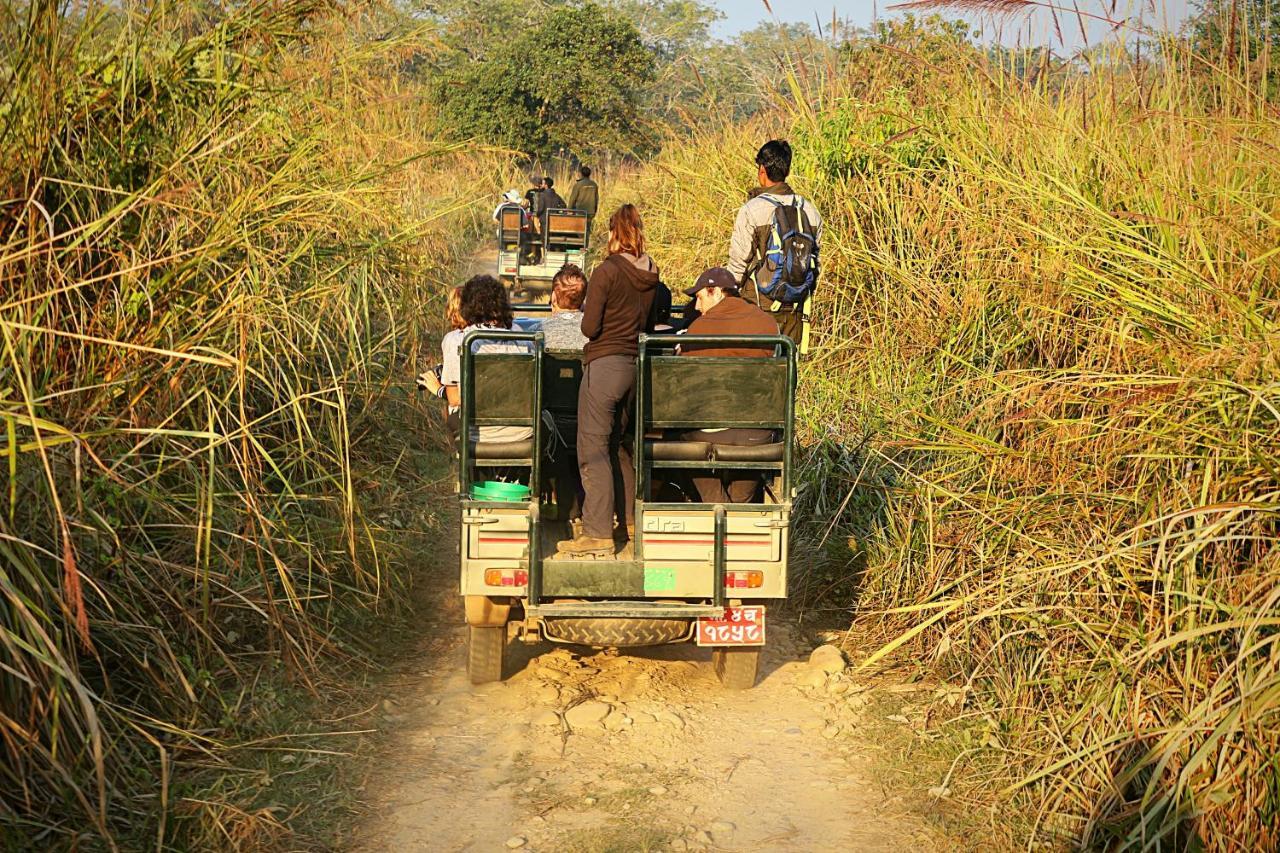 Tiger Corner Inn Homestay Sauraha Exteriér fotografie