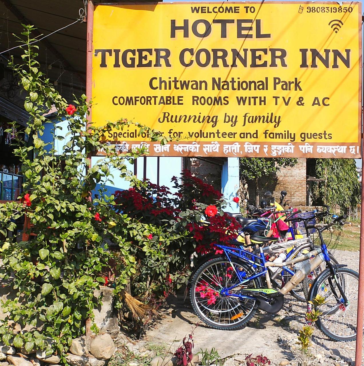 Tiger Corner Inn Homestay Sauraha Exteriér fotografie